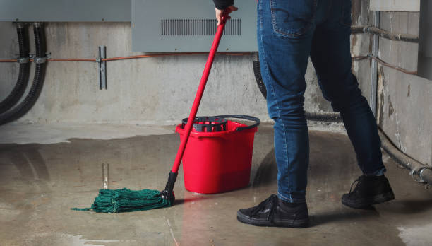 Best Commercial water damage restoration  in Fairfield, IA